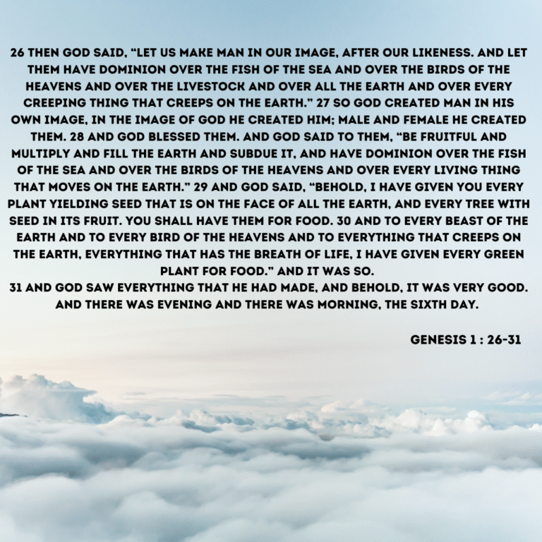 Genesis 1: 26-31