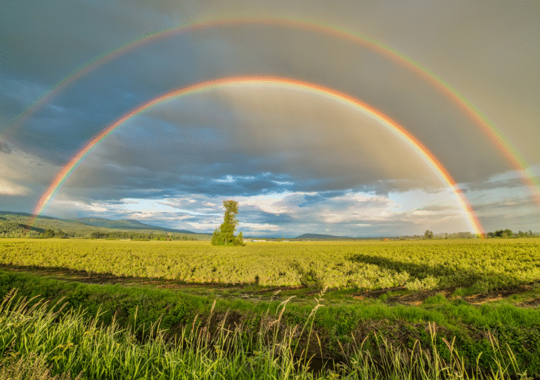 My Prayers Will be Answered