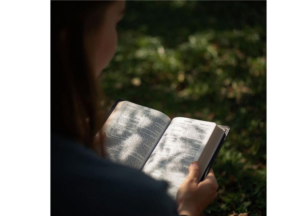 Bible Verses for When You Are Falsely Accused or Dishonored