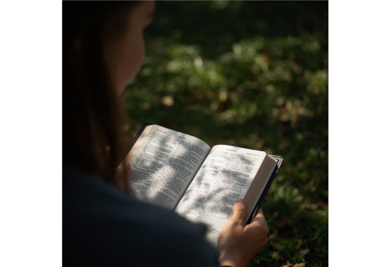 Bible Verses for When You Are Falsely Accused or Dishonored