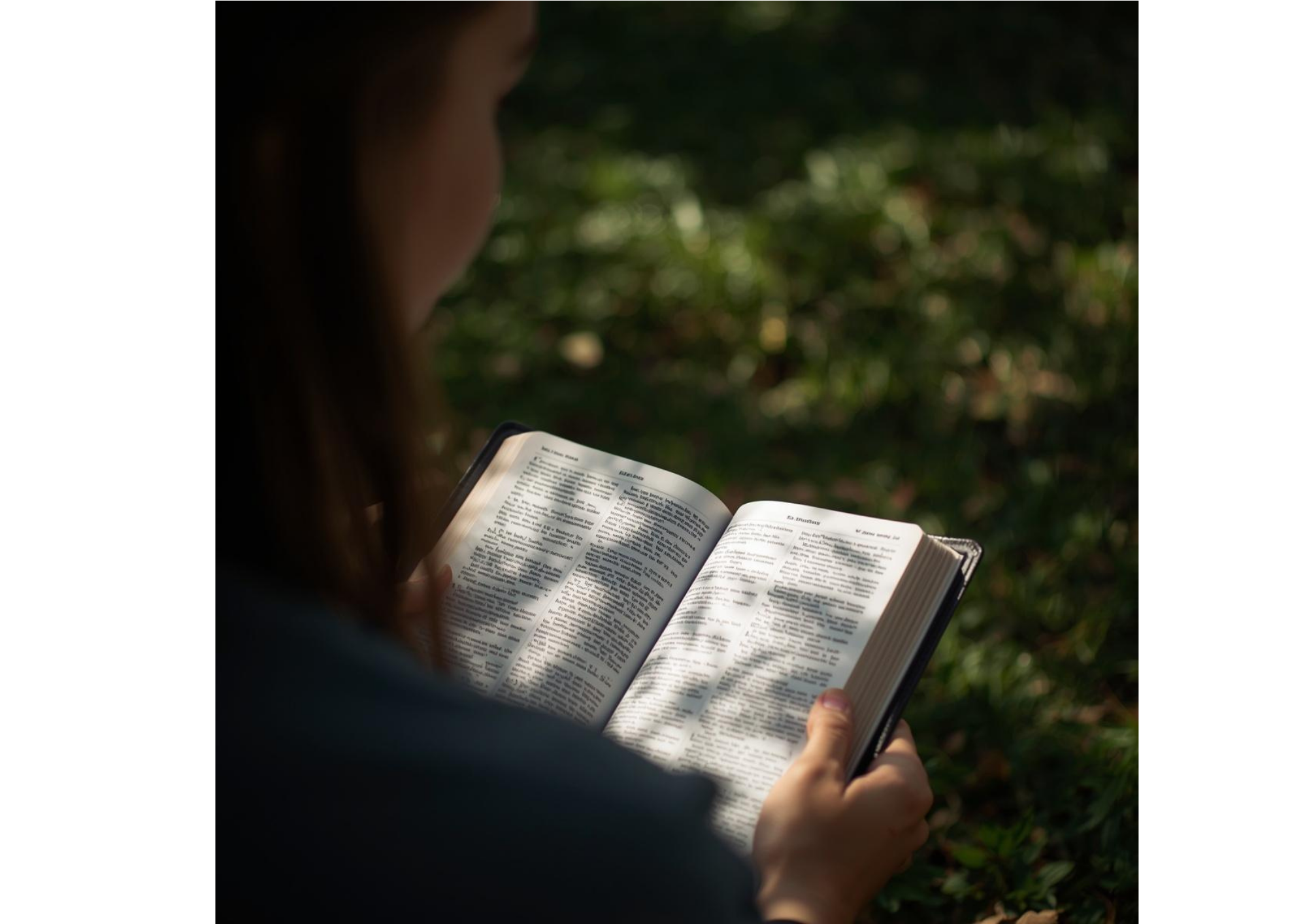 Bible Verses for When You Are Falsely Accused or Dishonored